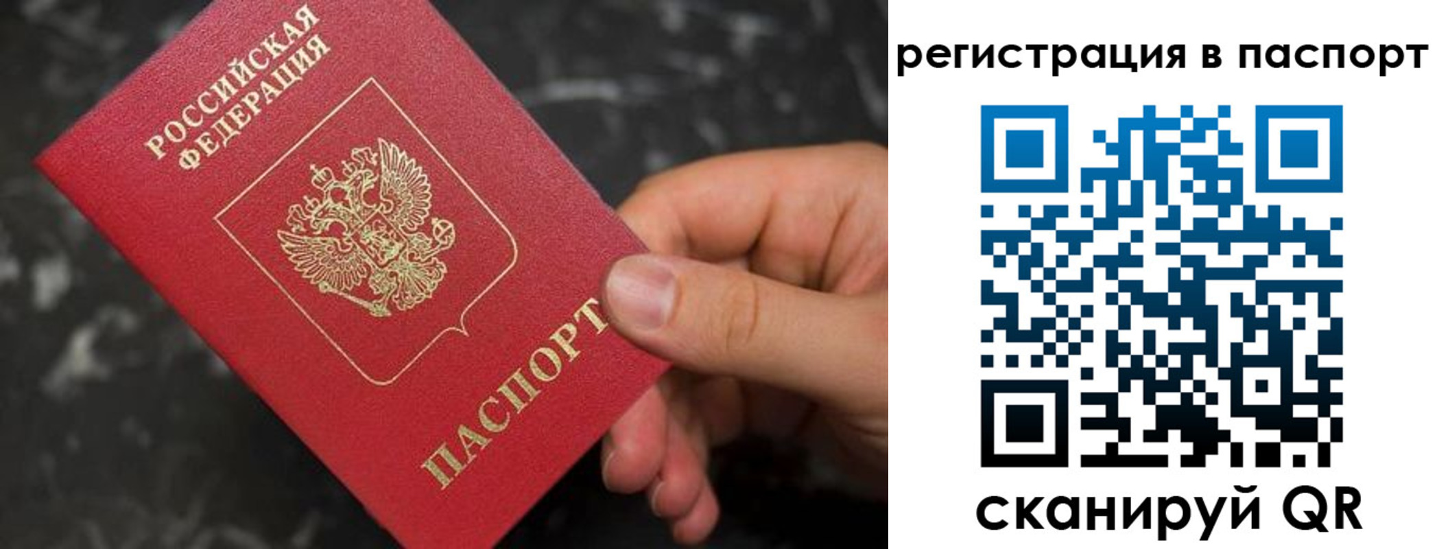 прописка для работы в Елизово
